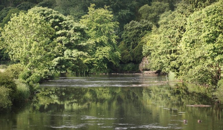 River Kelvin Glasgow rescue operation