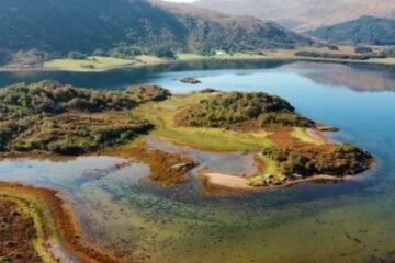 Private Scottish Island on Sale for $560K Offers Seclusion, Wildlife—and No Planning Permission