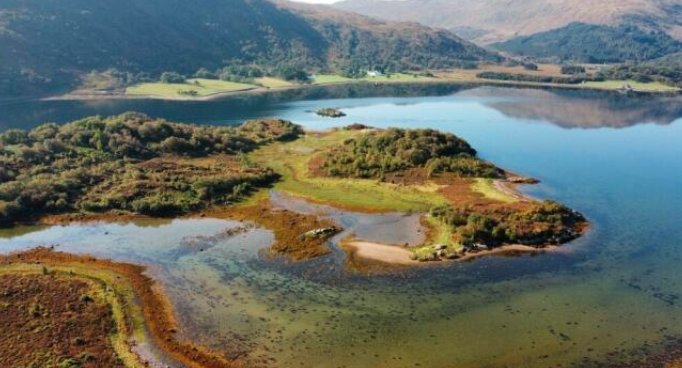 Private Scottish Island on Sale for $560K Offers Seclusion, Wildlife—and No Planning Permission
