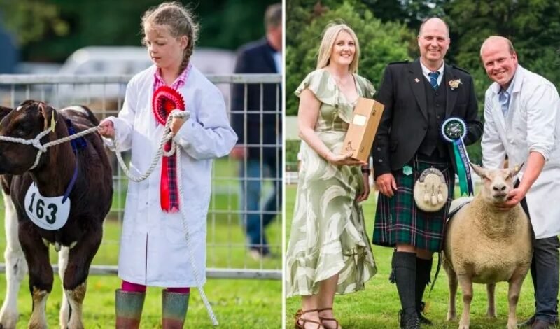 Turriff Show to Spotlight Scotland’s Tastiest Talent in Food and Drink