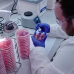 Scotland Updates AMR Research Register to Boost National Coordination