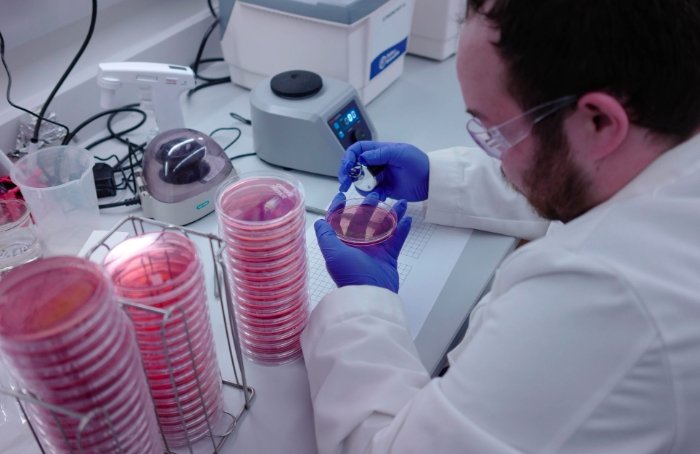 Scotland antimicrobial resistance research laboratory