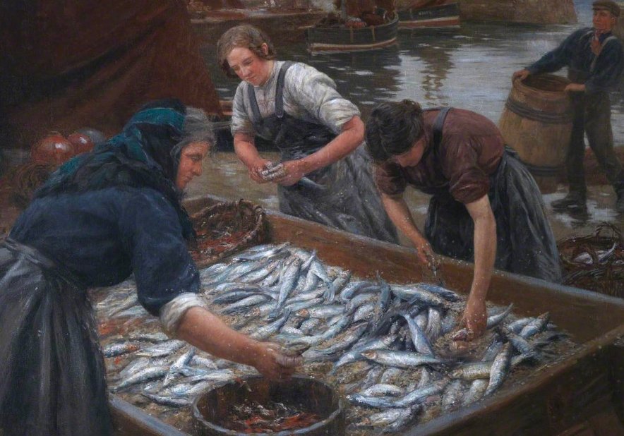 Scottish herring lassies gutting fish historical photo