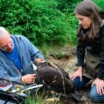 Sir David Attenborough golden eagle