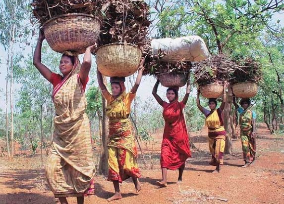 forest tribe settlement