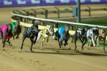 Scotland Backs Greyhound Racing Ban