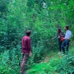 Tiny Forests Transform Scotland’s Cities