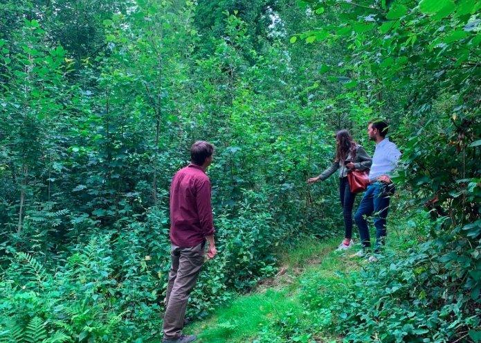 Tiny Forests Transform Scotland’s Cities