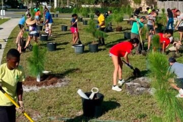 Dandara Scotland Launches Major Tree Planting Push