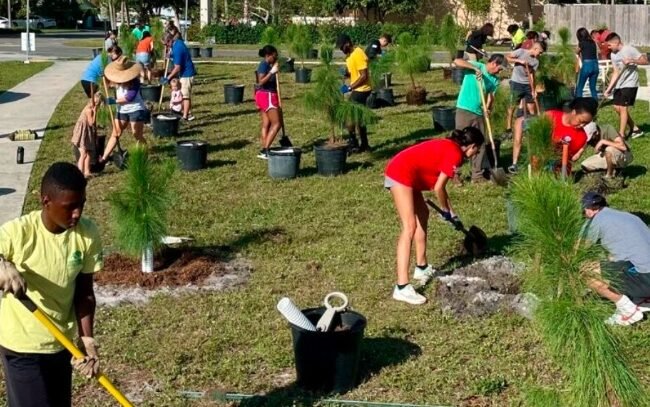 Dandara Scotland Launches Major Tree Planting Push