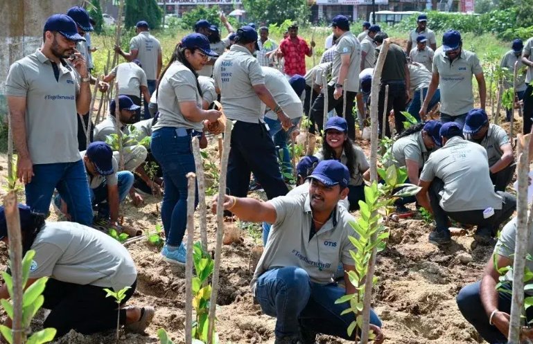 urban forest planting