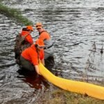 Scotland Boosts Wild Salmon Protection with £230K Grants