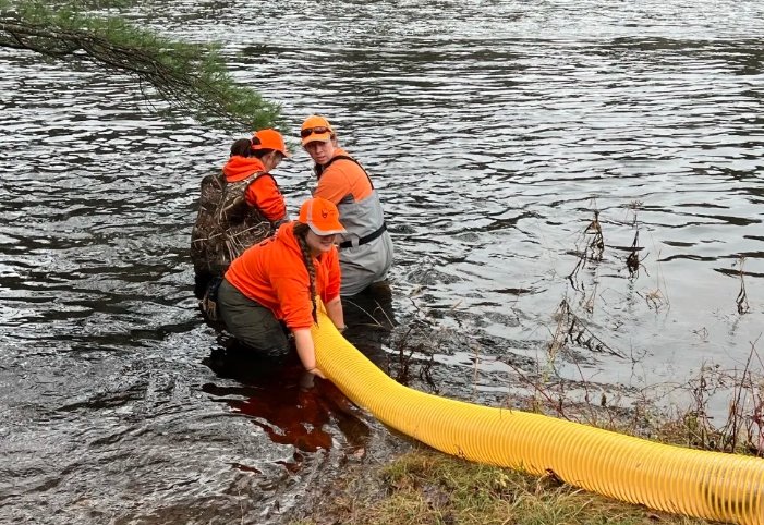 wild salmon river restoration