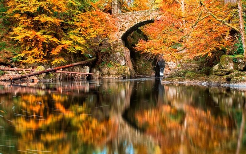 Top 10 Airbnbs in Scotland for Fall Folklore Trips