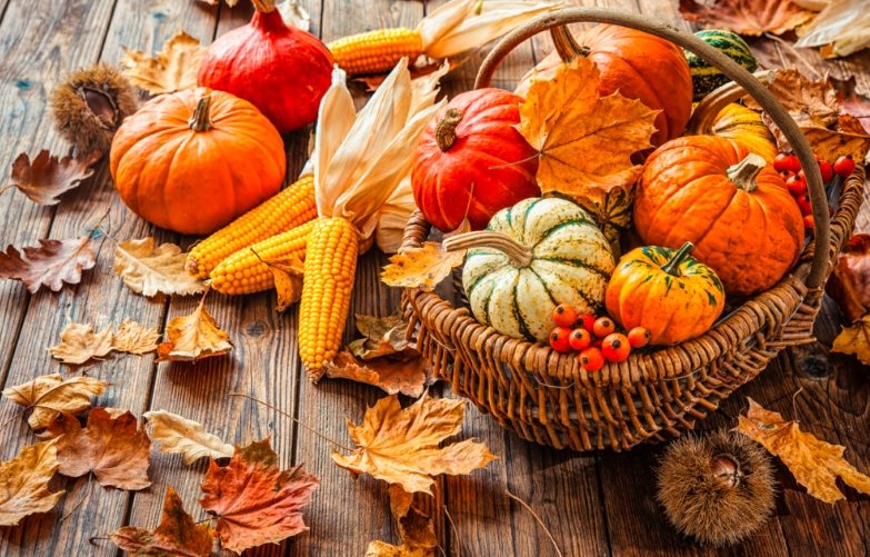 autumn harvest UK produce