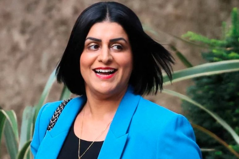 Shabana Mahmood immigration