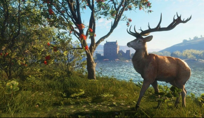 TheHunter Call of the Wild Scotland DLC Set for December 9 Launch