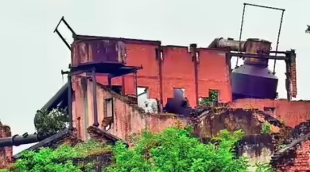 Industrial Hub to Quiet Town