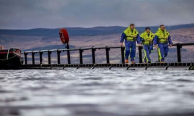 Bakkafrost Faces High Costs from Scotland Salmon Outbreak