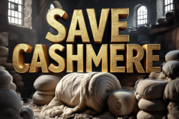 Scotland’s Cashmere Masters Hunt Young Blood to Save Dying Craft