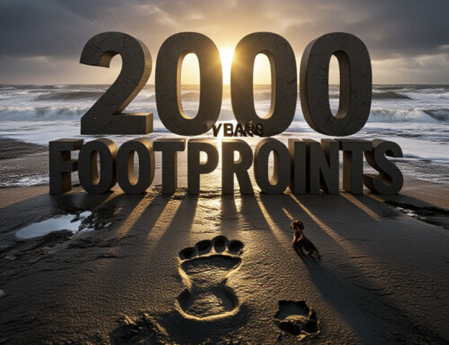 Couple’s Dog Walk Uncovers 2,000-Year-Old Footprints on Scottish Beach