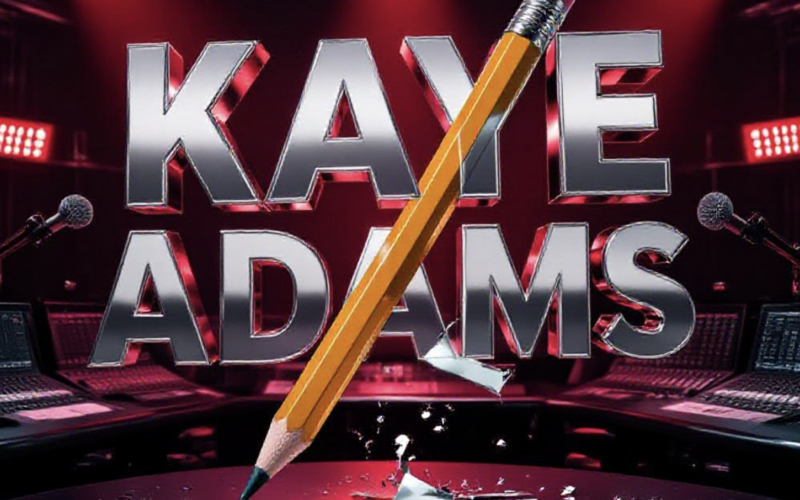 Kaye Adams Hits Back at ‘Malicious’ BBC Exit Claims