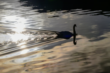 Readers Stun BBC with Jaw-Dropping Scotland Shots