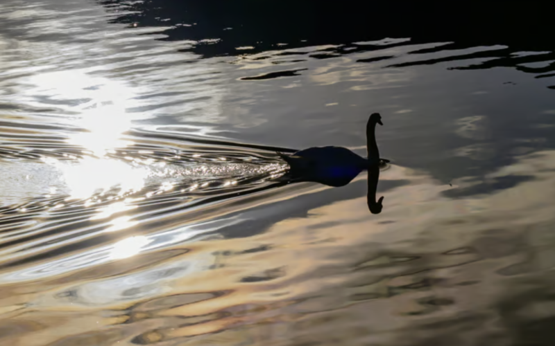 Readers Stun BBC with Jaw-Dropping Scotland Shots
