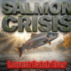 Scotland's Iconic Salmon Face Extinction Crisis as Catches Hit Rock Bottom