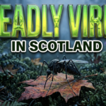 Deadly Mosquito Virus Hits Scotland Blackbirds For First Time