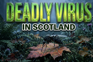 Deadly Mosquito Virus Hits Scotland Blackbirds For First Time
