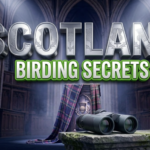 Michigan Birder Darrell Lawson Shares Scotland Secrets in Petoskey