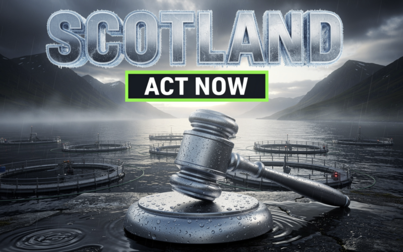 Scotland Has the Evidence. Now Comes the Hard Part