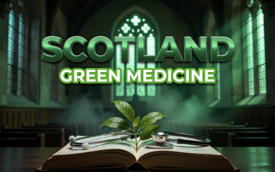 Scotland medical schools sustainable healthcare education program 2026