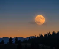 Blue Moon 2026 best seen rising orange at dusk on Saturday.