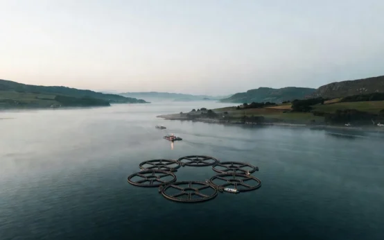 Oceanbox Atlantis ocean model launches for Scottish salmon farming sector.