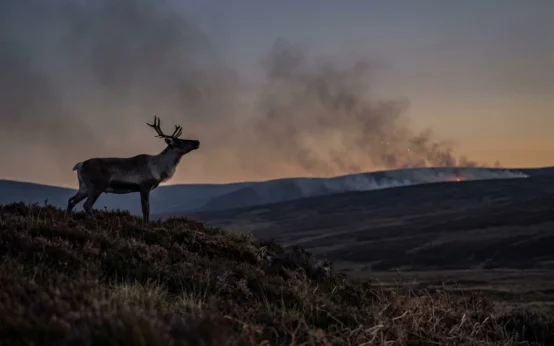 Cairngorms National Park wildfire evacuation Glenmore Aviemore Scotland