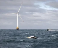 Caledonia North and South offshore wind farm approval Moray Firth