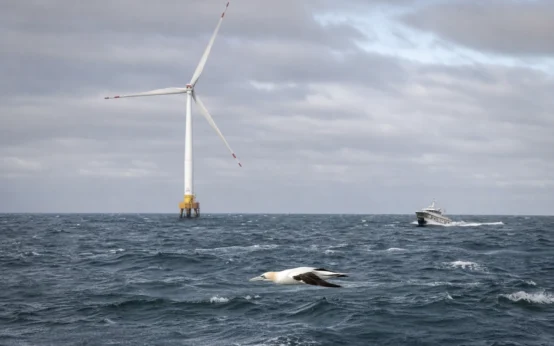 Caledonia North and South offshore wind farm approval Moray Firth