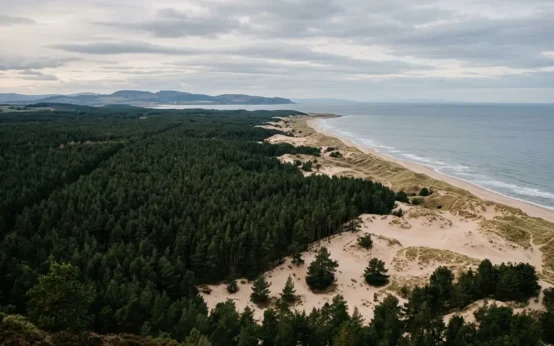 Culbin Forest Moray Firth nature reserve Scotland