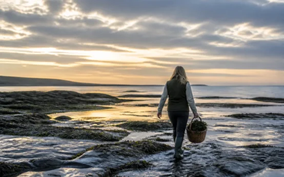 Scotland's Tay Country travel trade programme marks five years of tourism growth