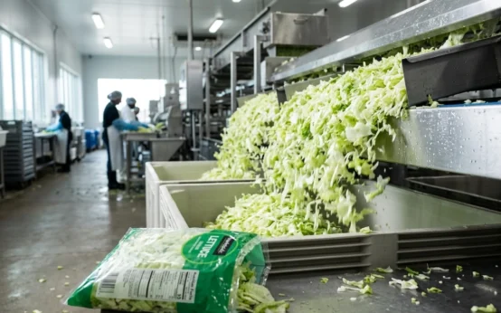cyclospora iceberg lettuce outbreak 15 states Taylor Farms recall