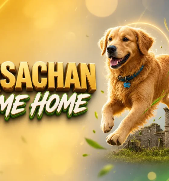 Golden Retriever Club of Scotland Guisachan House 160th gathering