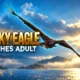 Kinky Mull sea eagle reaches adult territory