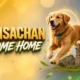 Golden Retriever Club of Scotland Guisachan House 160th gathering