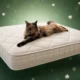 Naturepedic Serenade queen foam-free coil mattress review