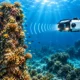CUREE finds nearly 25 times more reef fish