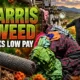 Harris Tweed 1993 Act locks weavers low pay