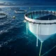 Mowi Scotland £1.78 million semi-closed salmon cage grant