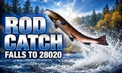 Scottish salmon rod catch falls to 28020 2025